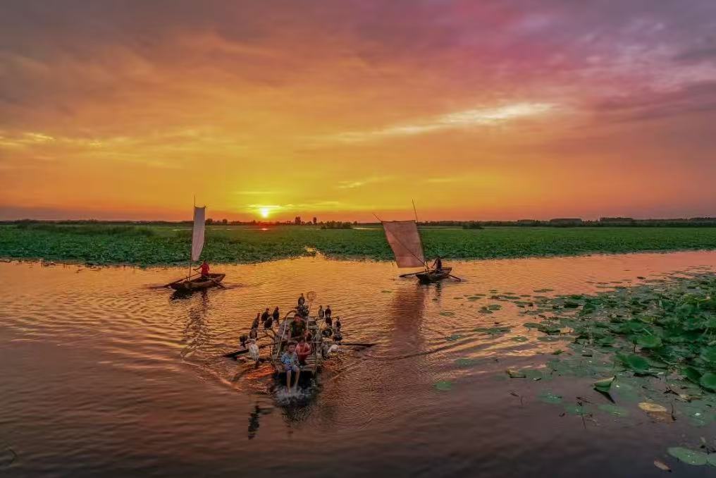 Weishan Lake Red Lotus Wetland
